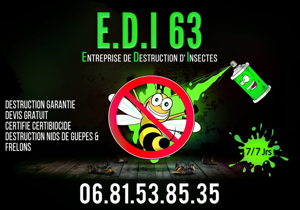 E.D.I 63 - Entreprise de destruction d'insectes